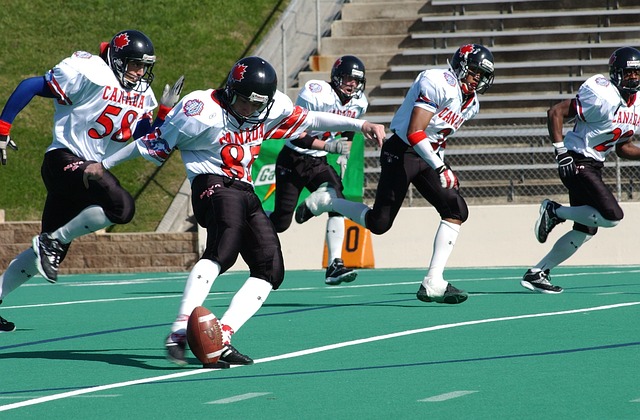 城的统治力 城的统治力