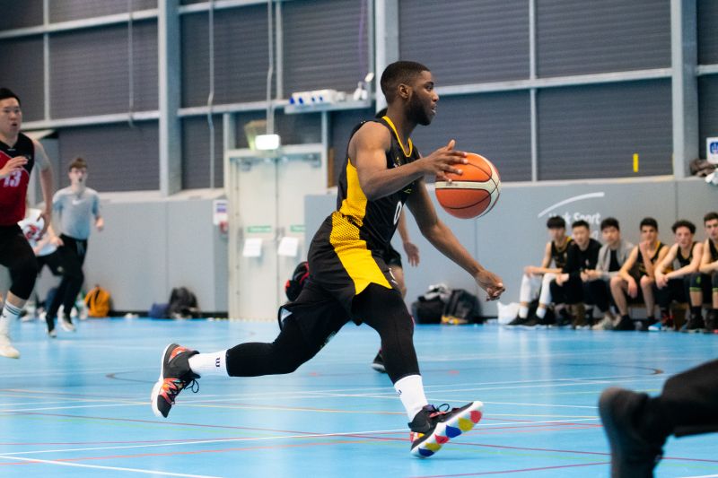 整体格局 整体格局