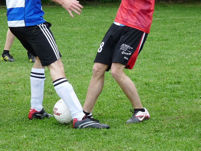 烏克蘭天才 烏克蘭天才