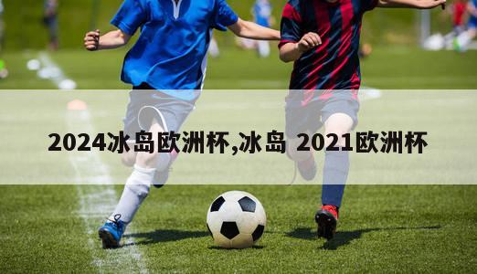 2024冰岛欧洲杯,冰岛 2021欧洲杯