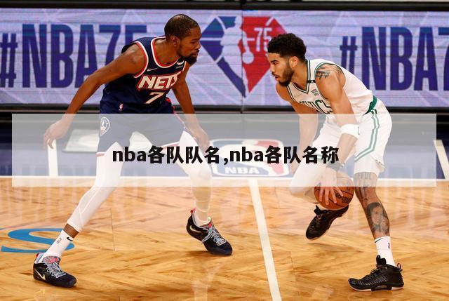 nba各队队名,nba各队名称