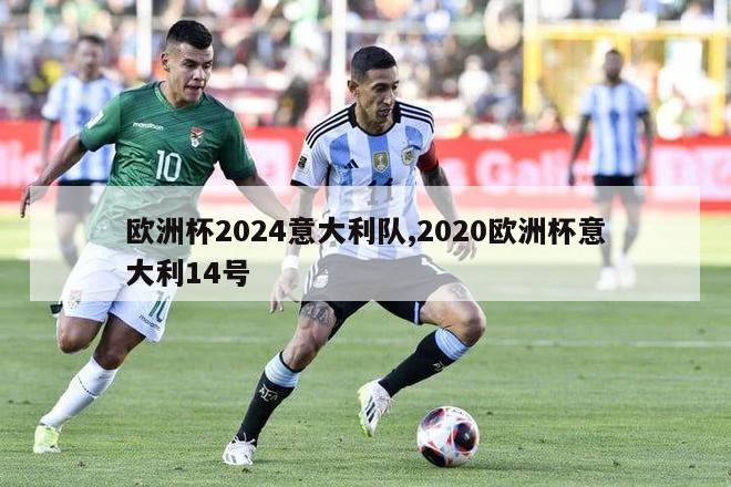 欧洲杯2024意大利队,2020欧洲杯意大利14号