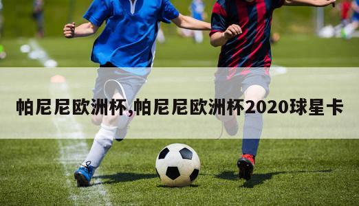 帕尼尼欧洲杯,帕尼尼欧洲杯2020球星卡