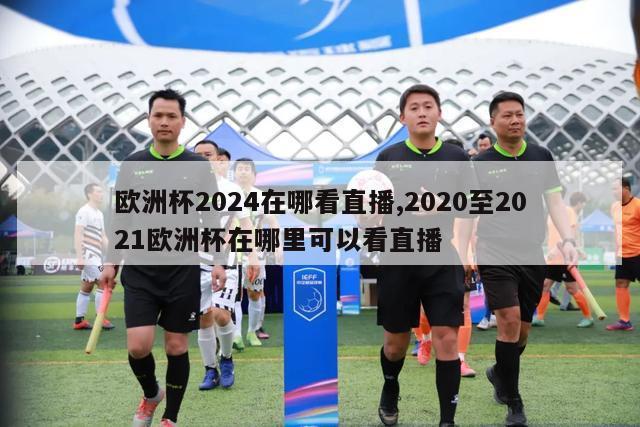 欧洲杯2024在哪看直播,2020至2021欧洲杯在哪里可以看直播