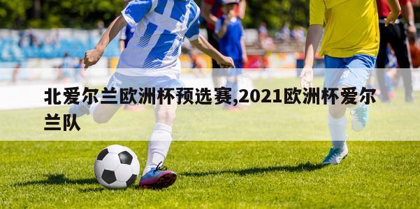 北爱尔兰欧洲杯预选赛,2021欧洲杯爱尔兰队