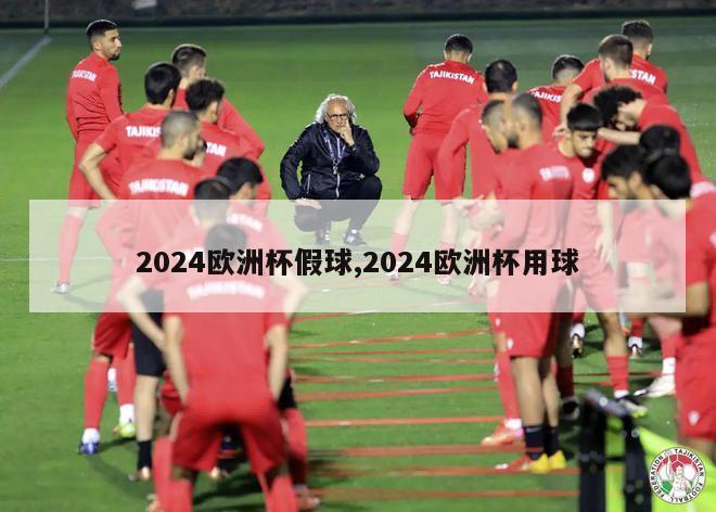 2024欧洲杯假球,2024欧洲杯用球