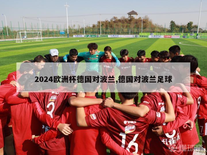 2024欧洲杯德国对波兰,德国对波兰足球