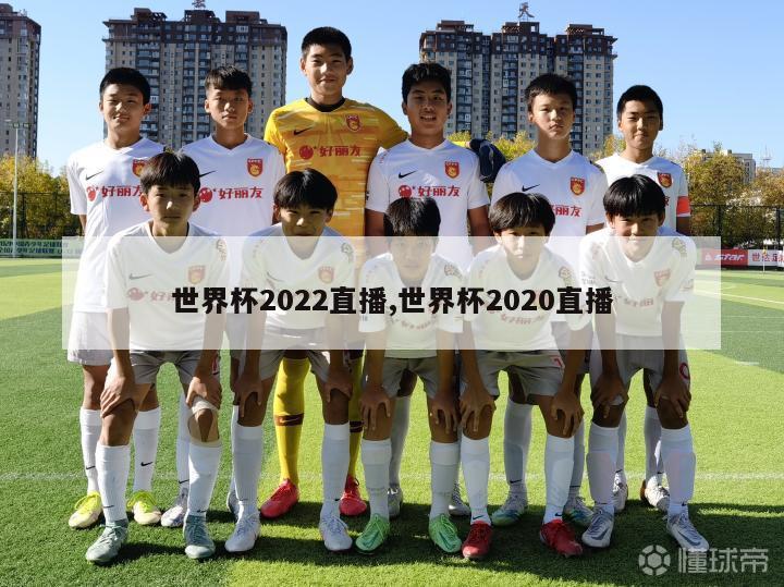 世界杯2022直播,世界杯2020直播