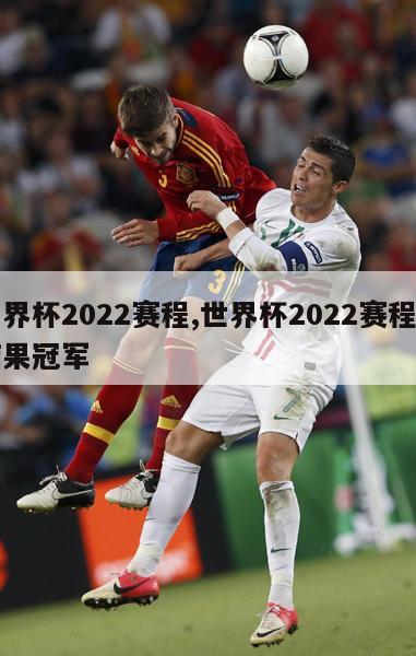 世界杯2022赛程,世界杯2022赛程及结果冠军