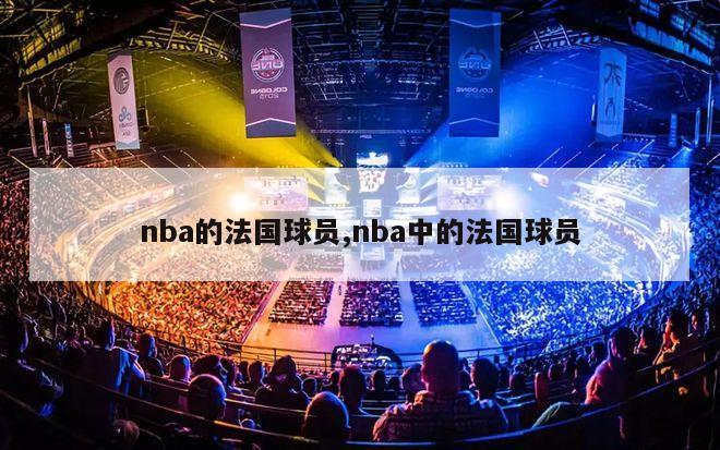 nba的法国球员,nba中的法国球员