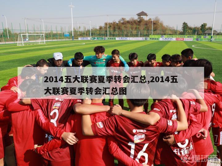 2014五大联赛夏季转会汇总,2014五大联赛夏季转会汇总图